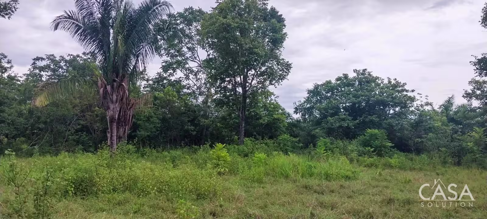 Venta de terreno en Panamá