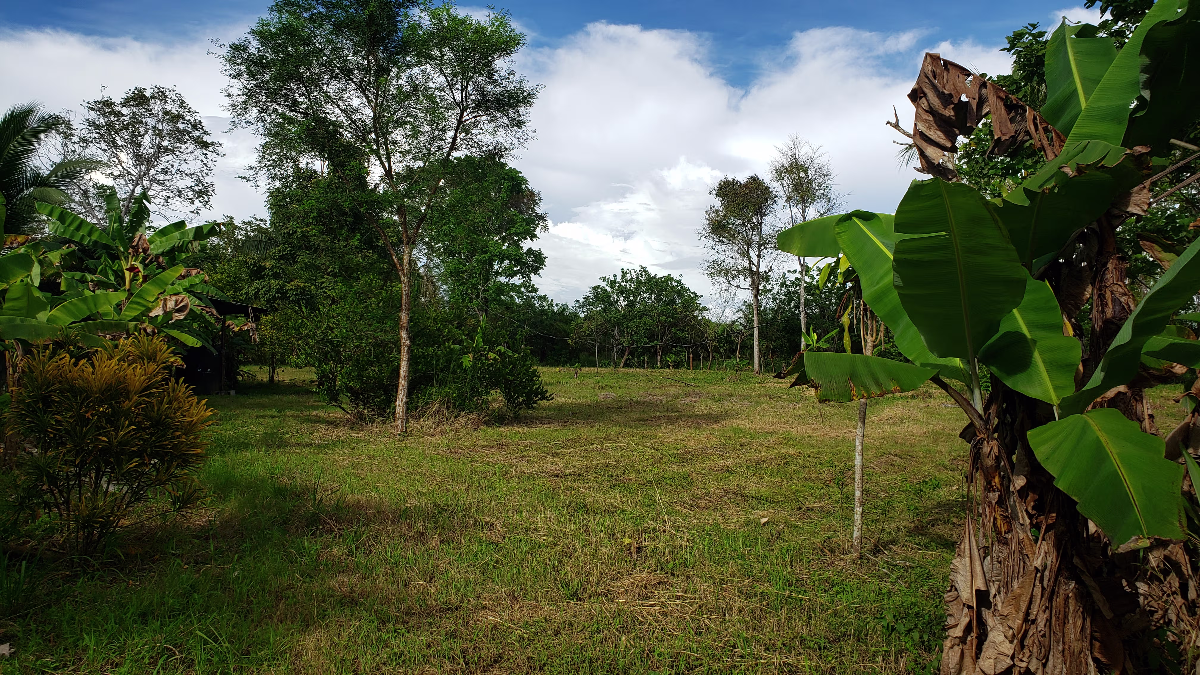 Venta de terreno en Panamá - Puerto Armuelles, Provincia de Chiriquí