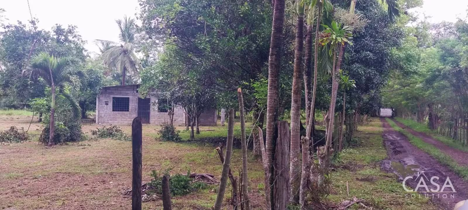 Terreno con galera y casa  El Palmar, Puerto Armuelles | provincia de Chiriquí, Panamá