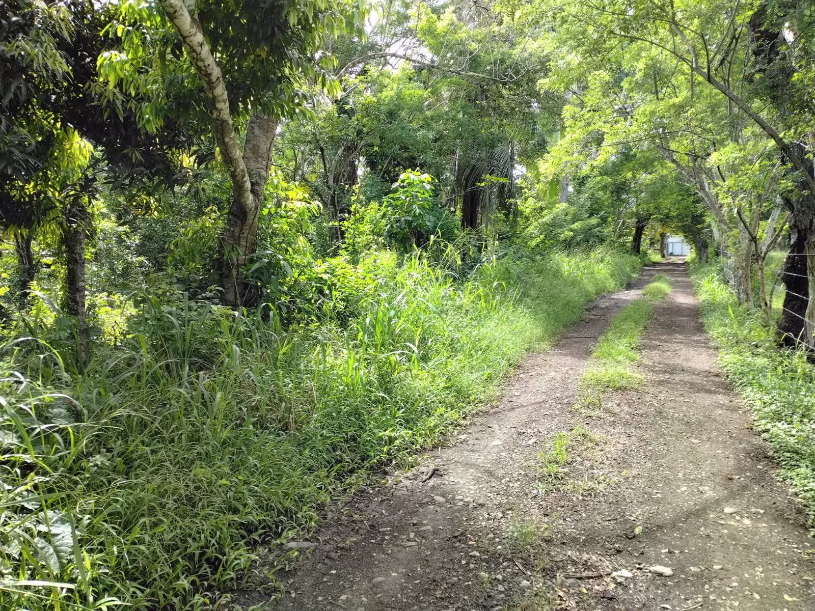 Venta de terreno en Panamá casa en construcción con 4 recamaras y 2 baños