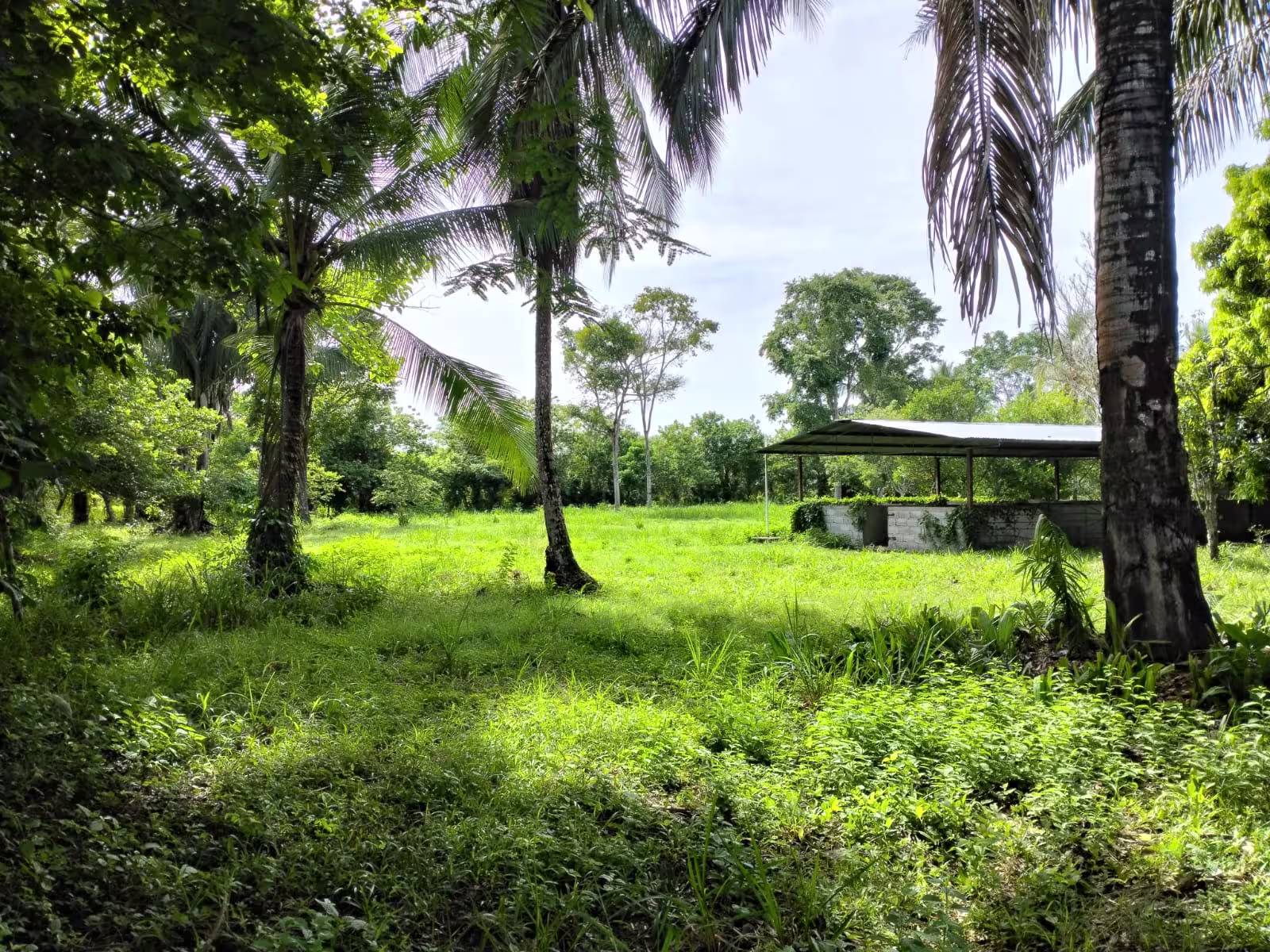 Venta de terreno en Panamá Provincia de Chiriquí