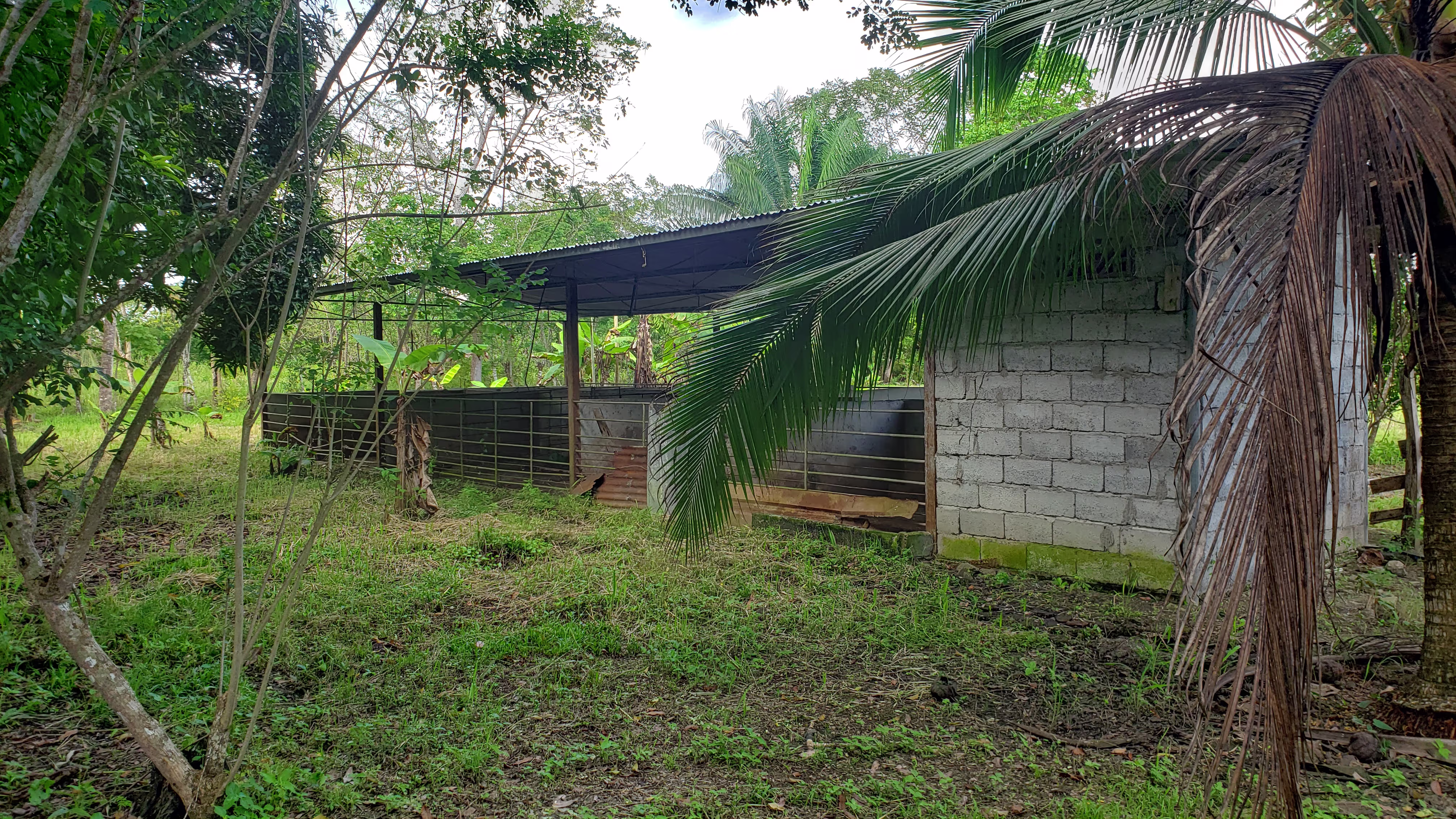 Venta de terreno en Panamá Galera para cría de cerdos