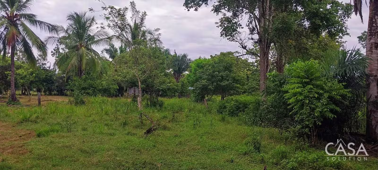 El Palmar, Puerto Armuelles | provincia de Chiriquí, Panamá