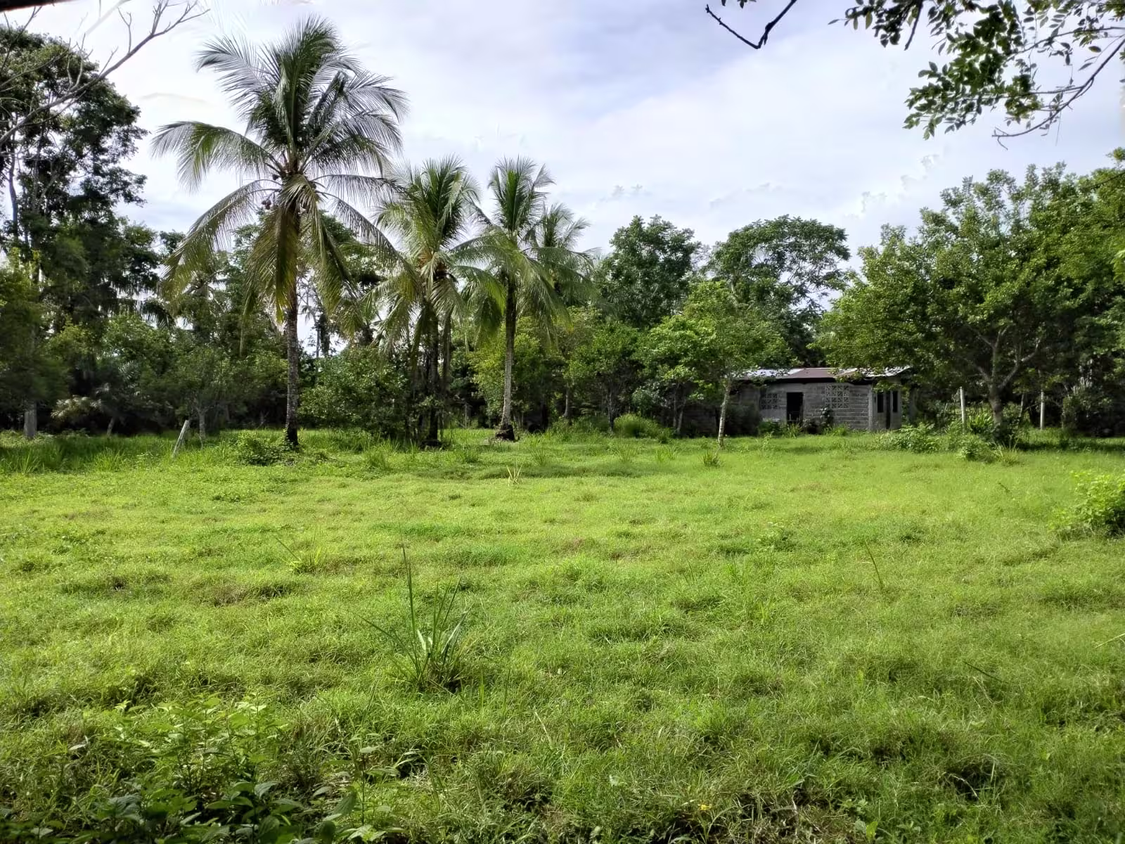 Extensión del terreno de 11,174 m² en El Palmar