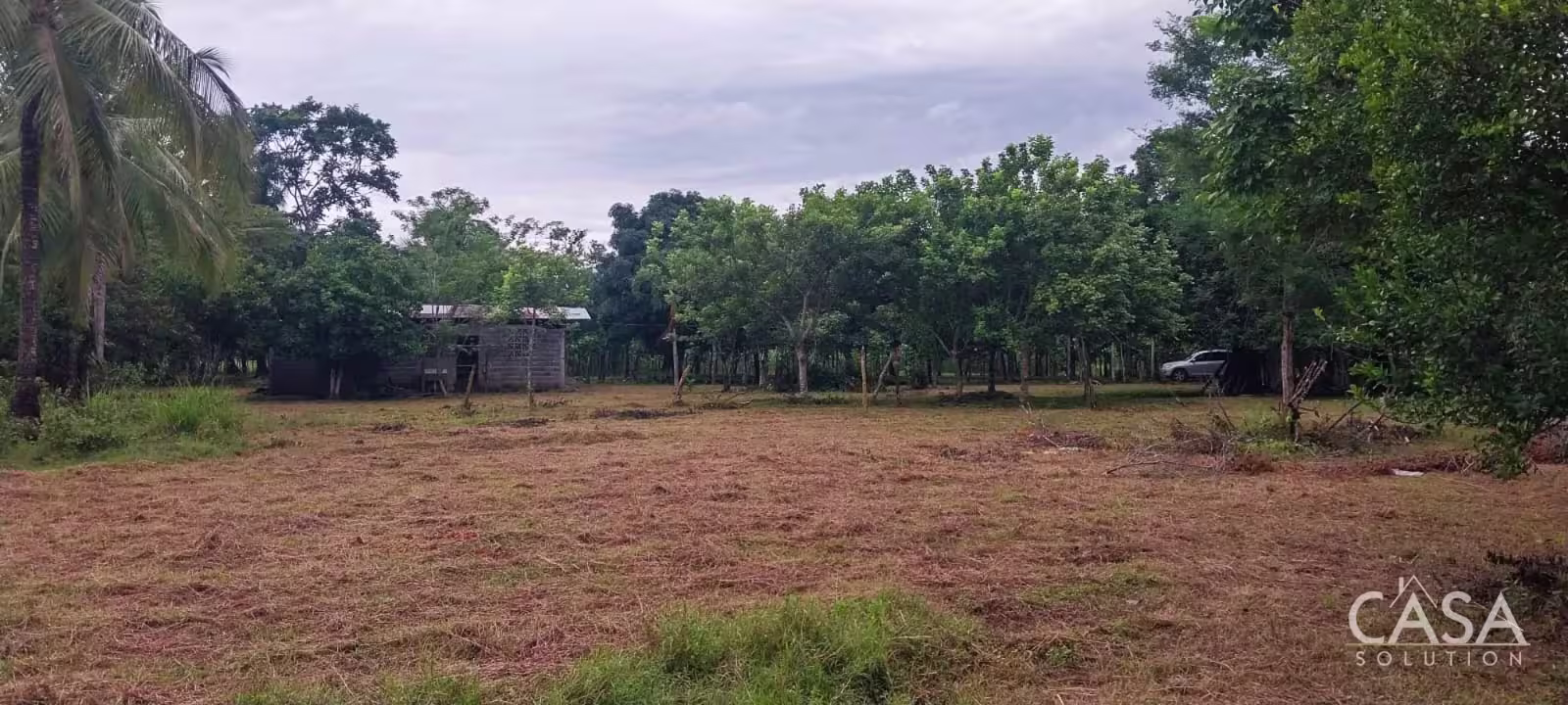Terreno con area de 11,174m²