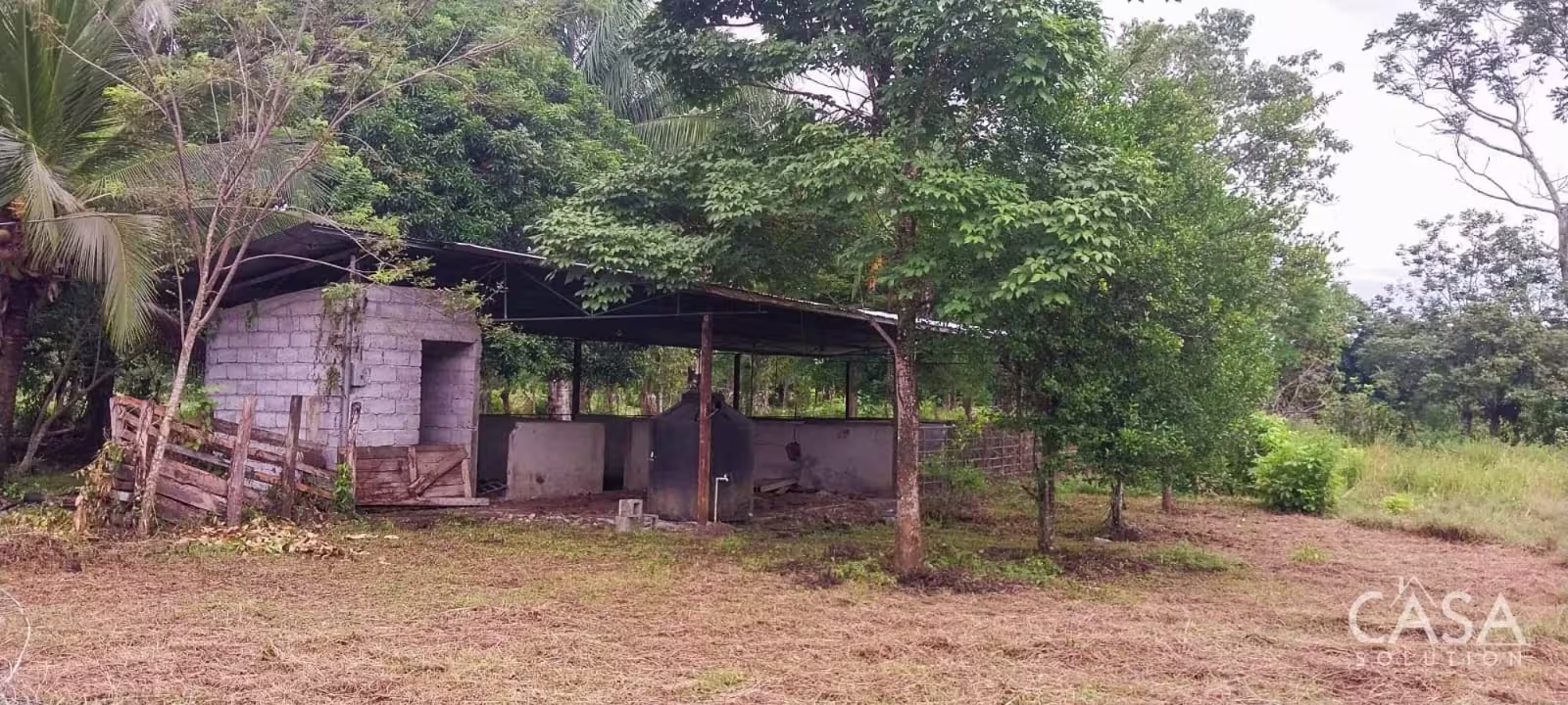 Puerto Armuelles, Chiriquí, Panamá. Ubicado en la comunidad de El Palmar