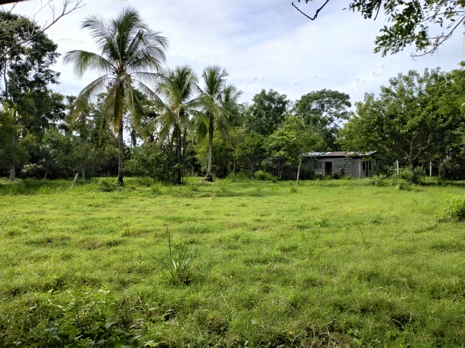 Terreno en venta en El Palmar, Puerto Armuelles, Chiriquí